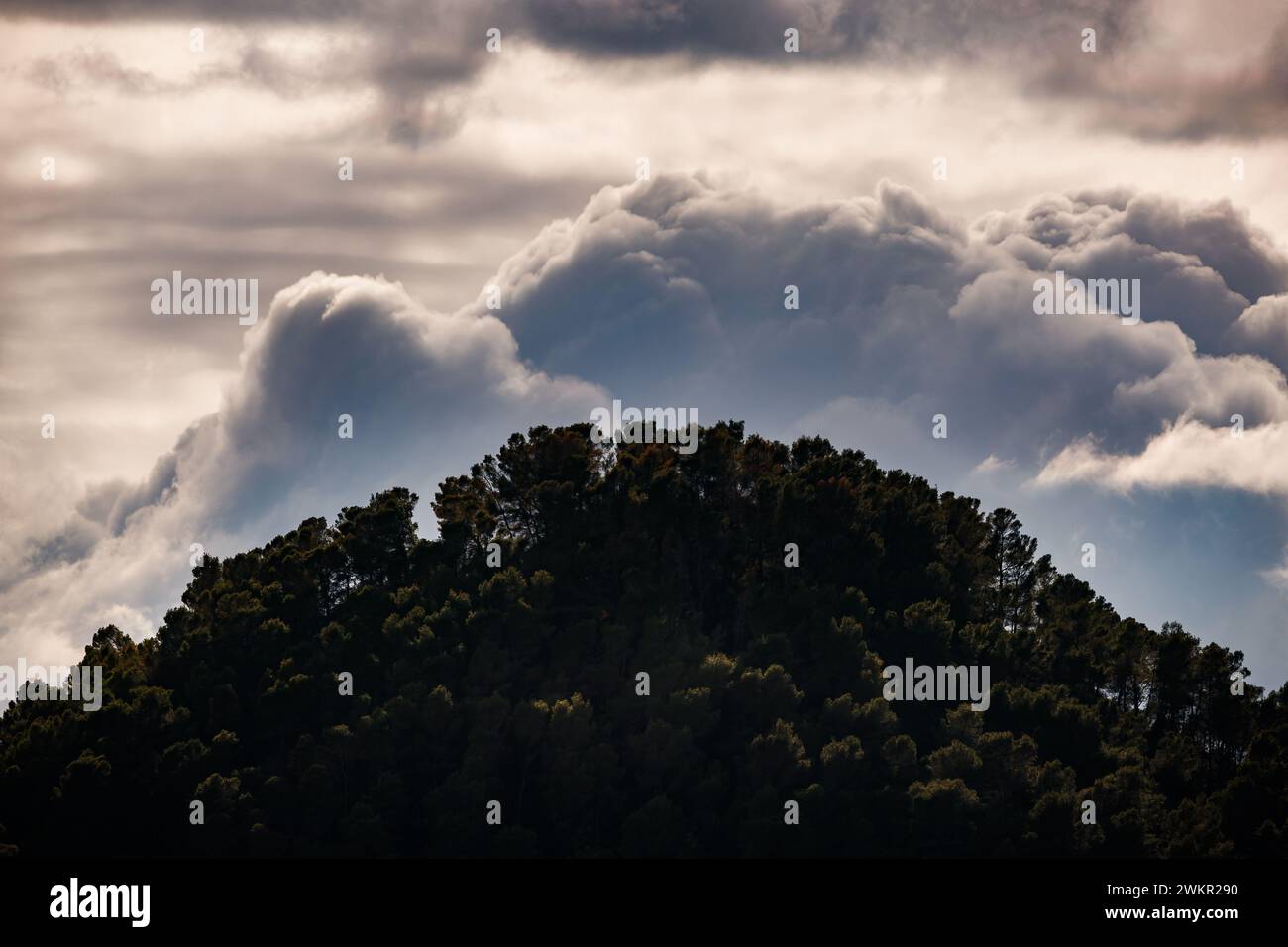 hill with pine trees under iridescent clouds in Xeraco Stock Photo