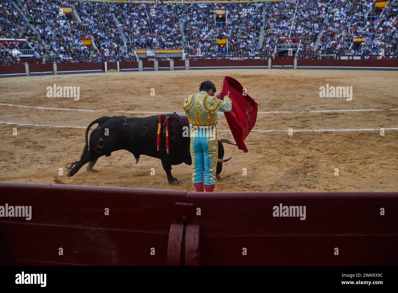 Madrid, 05/18/2023. Las Ventas bullring. Bullfight at the San Isidro Fair. The bullfighter José Antonio Morante Camacho, better known as Morante de la Puebla. Photo: Guillermo Navarro. ARCHDC. Credit: Album / Archivo ABC / Guillermo Navarro Stock Photo