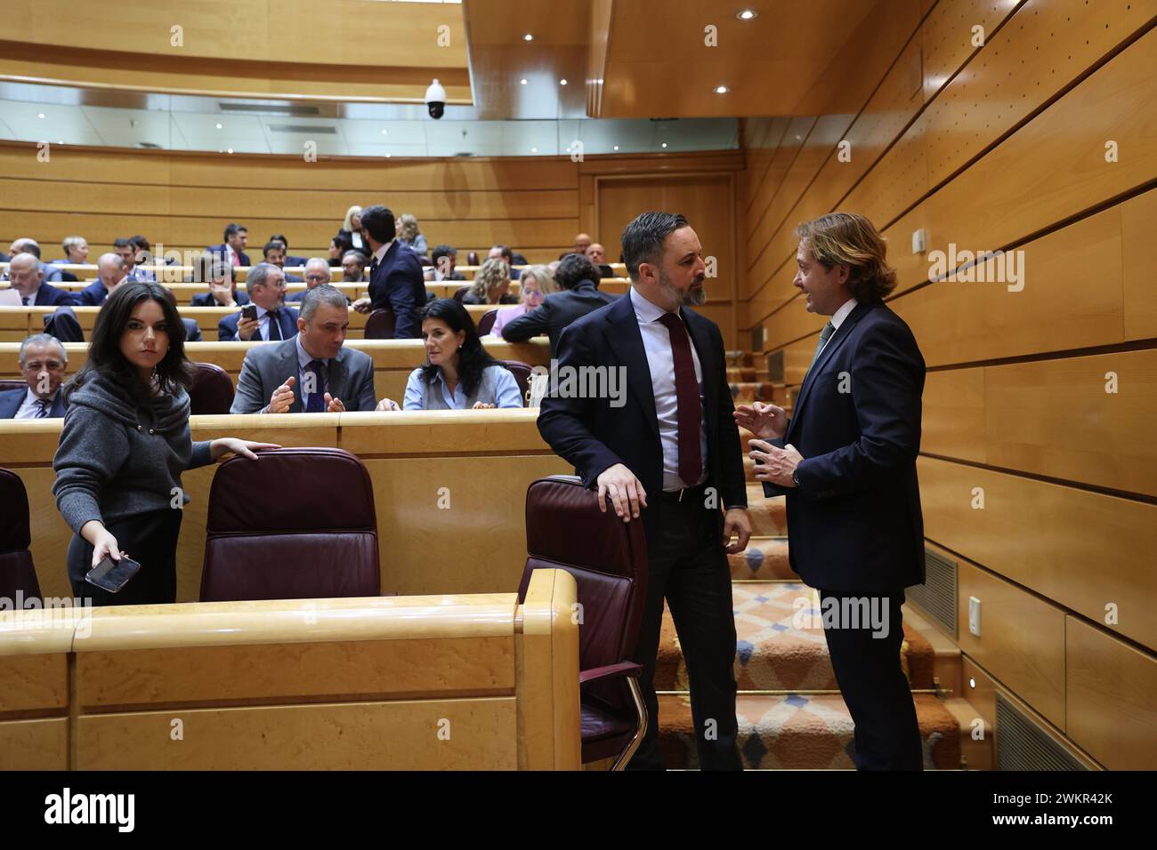 Madrid, 01/18/2024. Plenary session of the Congress of Deputies held in the Senate with the debate and vote on the processing of the constitutional reform. Photo: Jaime García. ARCHDC. Credit: Album / Archivo ABC / Jaime García Stock Photo