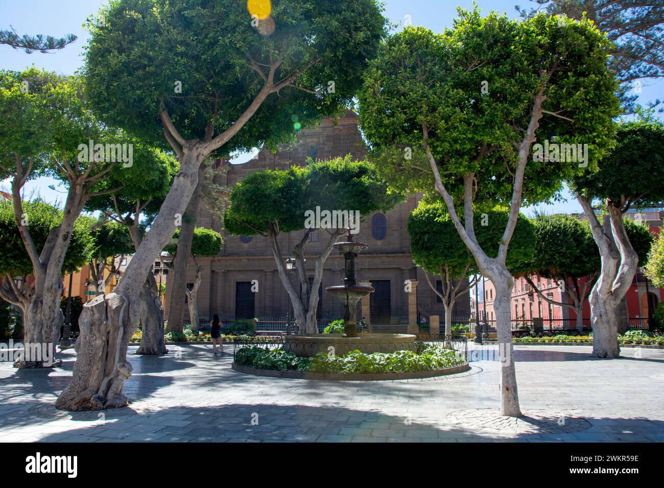 Trees overlooking a fountain and the church of Santiago de los Caballeros in the town of Galdar on the Canary Island of Gran Canaria, Europe Stock Photo