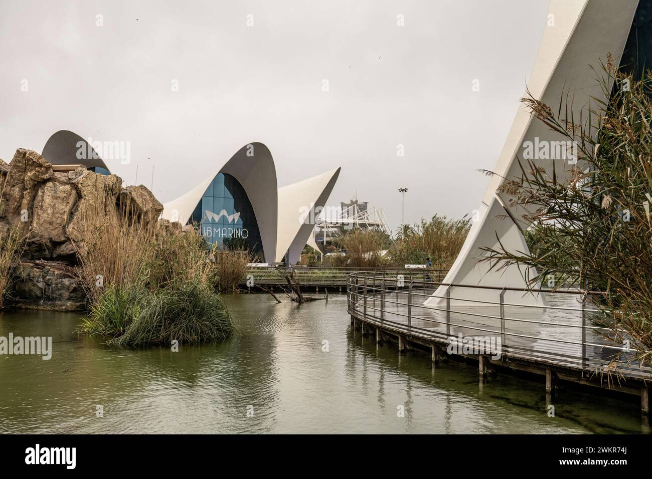 The striking modern architecture of the Oceanografic, the largest aquarium in Europe, on a rainy day in Valencia, Spain Stock Photo