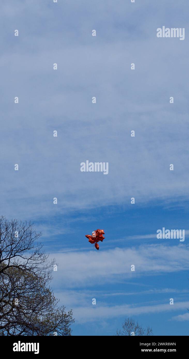 A vertical shot of red balloons floating in a cloudy blue sky Stock Photo