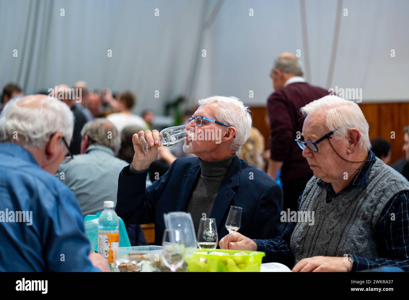 Hrusovany u Brna, Czech Republic - 17.2.2024: Wine degustation and wine tasting event. View of people drinking from glasses. South Moravia region, lan Stock Photo