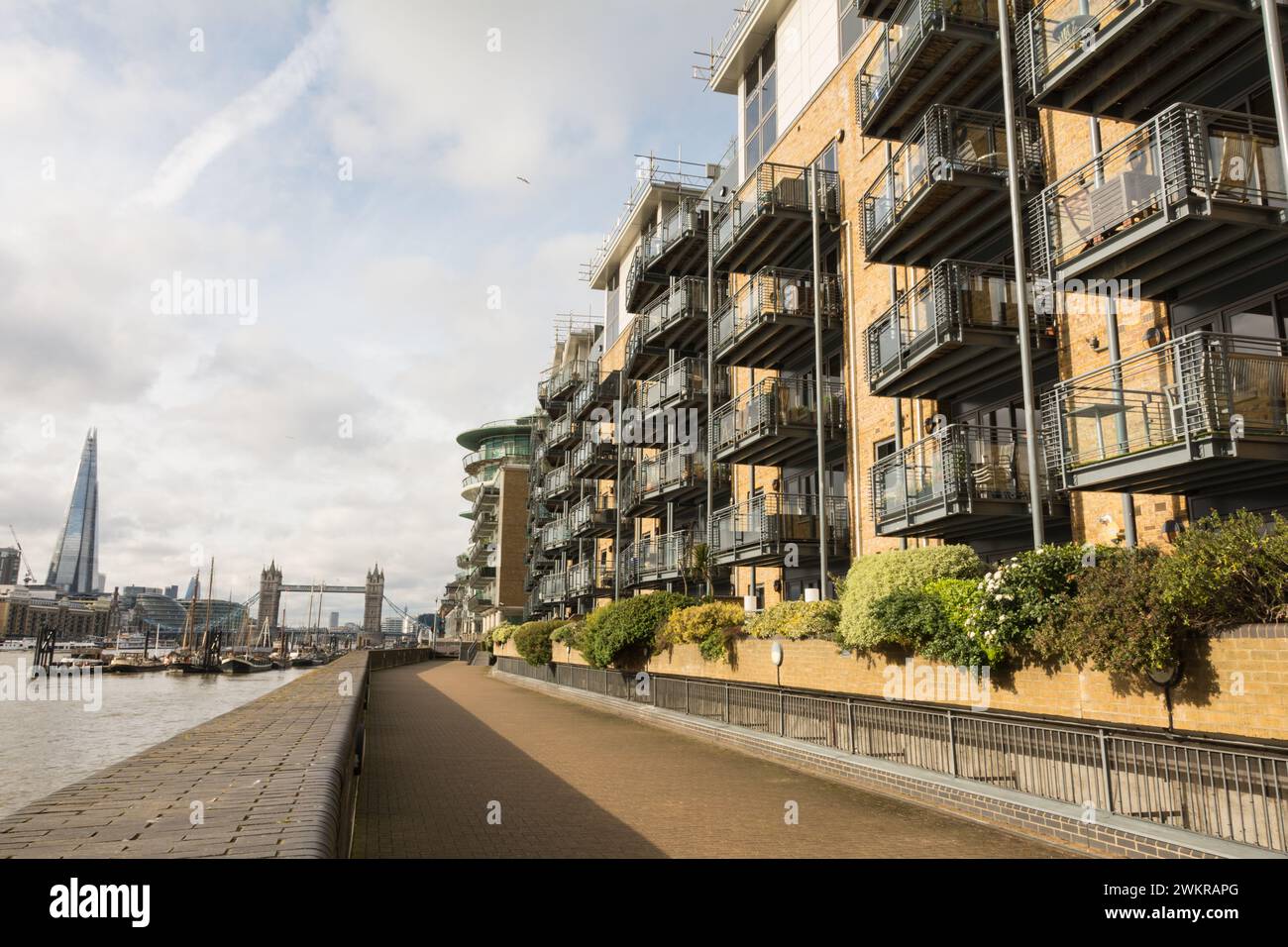 sunlit apartments buildings overlooking the River Thames and the Thames
