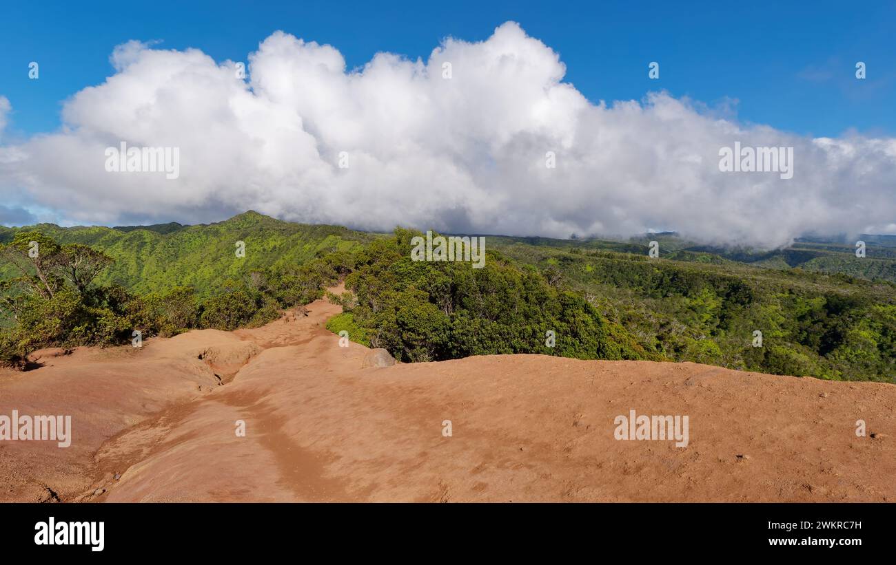 A scenic pathway in Kokee State Park, Kauai, Hawaii, USA Stock Photo ...