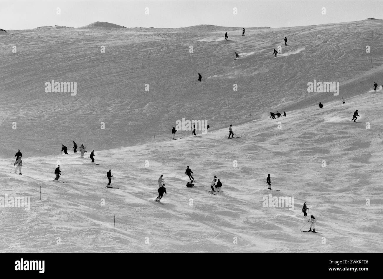 Together In Downhill Black And White Stock Photos Images Alamy together-in-downhill-black-and-white-stock-photos-images-alamy