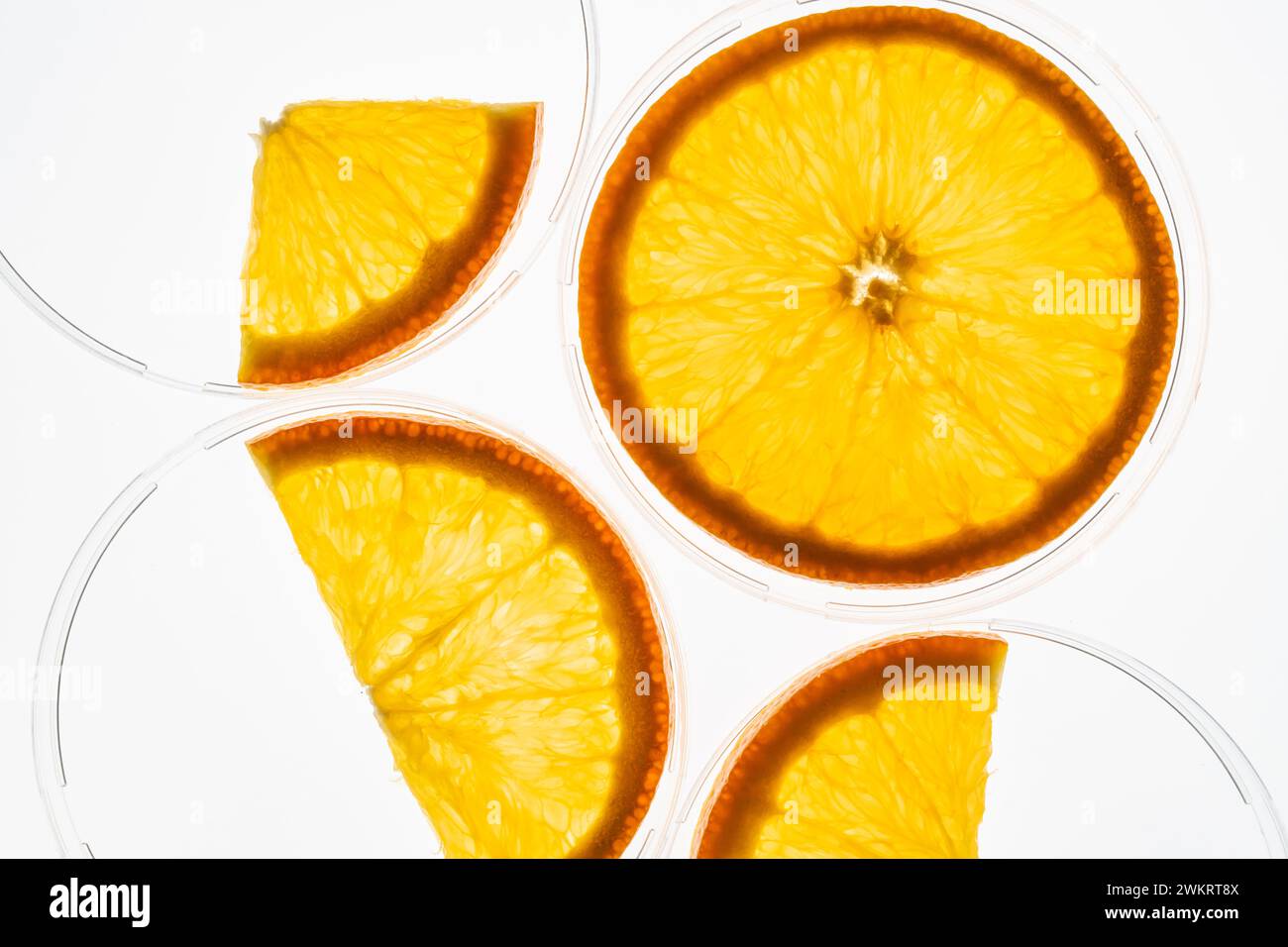 Translucent orange slices isolated on white backlit background Stock ...