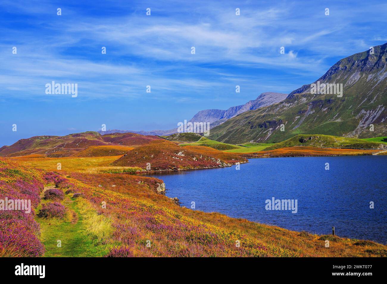 cregennan lakes cadair idris north wales gwynedd uk Stock Photo