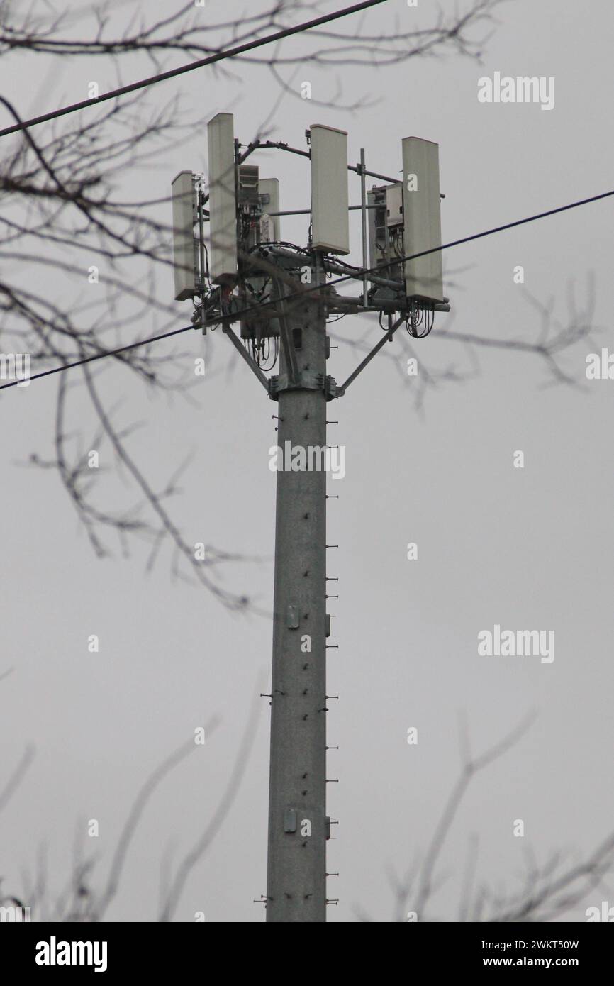 A cellular tower on the southwest side of San Antonio, Texas, USA, on