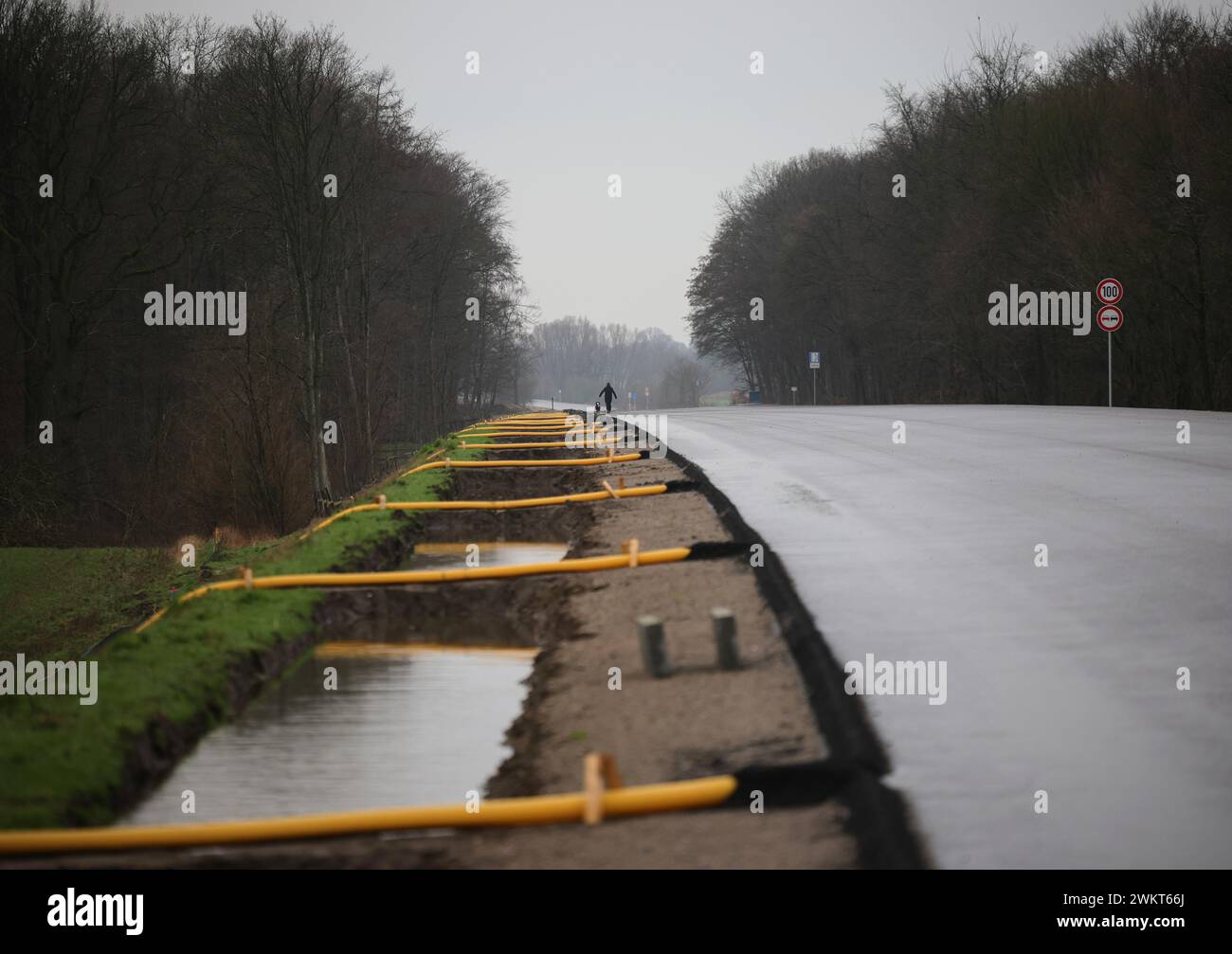 Sprenge, Germany. 21st Feb, 2024. A man walks his dog on the new carriageway of the B404 federal highway near Sprenge. Credit: Christian Charisius/dpa/Alamy Live News Stock Photo