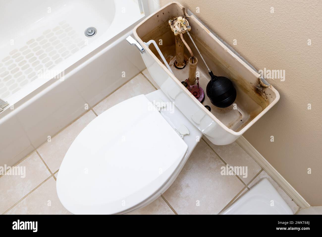 Residential home bathroom toilet tank plumbing repair. Replacing old leaking restroom lavatory flush valve. Stock Photo