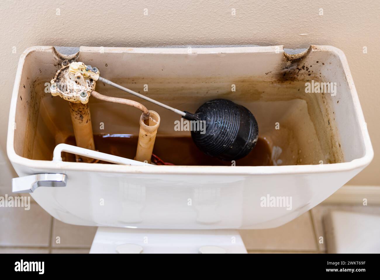 Residential home bathroom toilet tank plumbing repair. Replacing old leaking restroom lavatory flush valve. Stock Photo