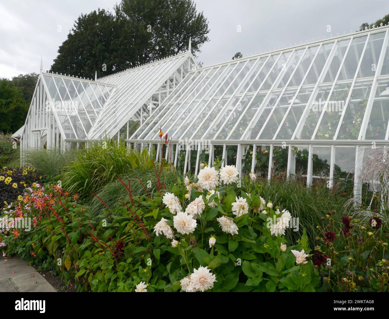 the greenhouse, Logan Botanic Garden, Mull of Galloway, Dumfries and Galloway, Scotland,UK Stock Photo