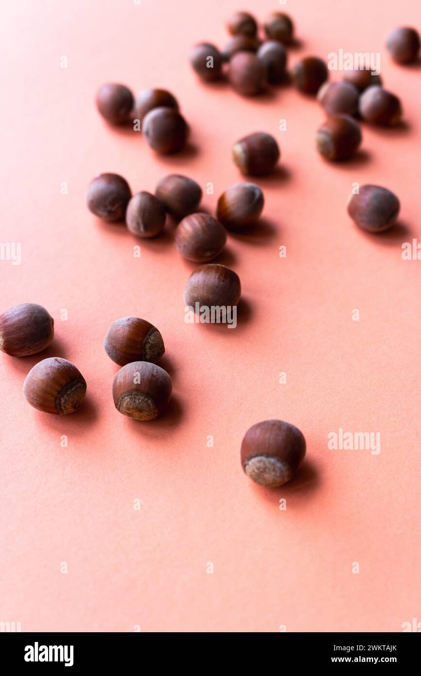 Hazelnuts on peach fuzz colour background heap of nuts on background