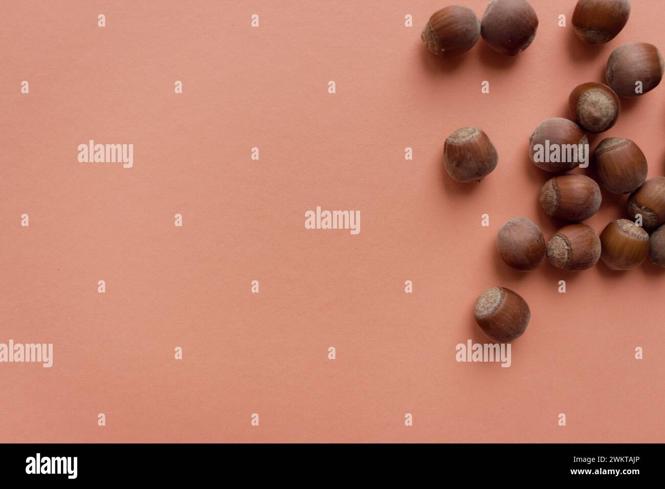 Hazelnuts on peach fuzz colour background heap of nuts on background