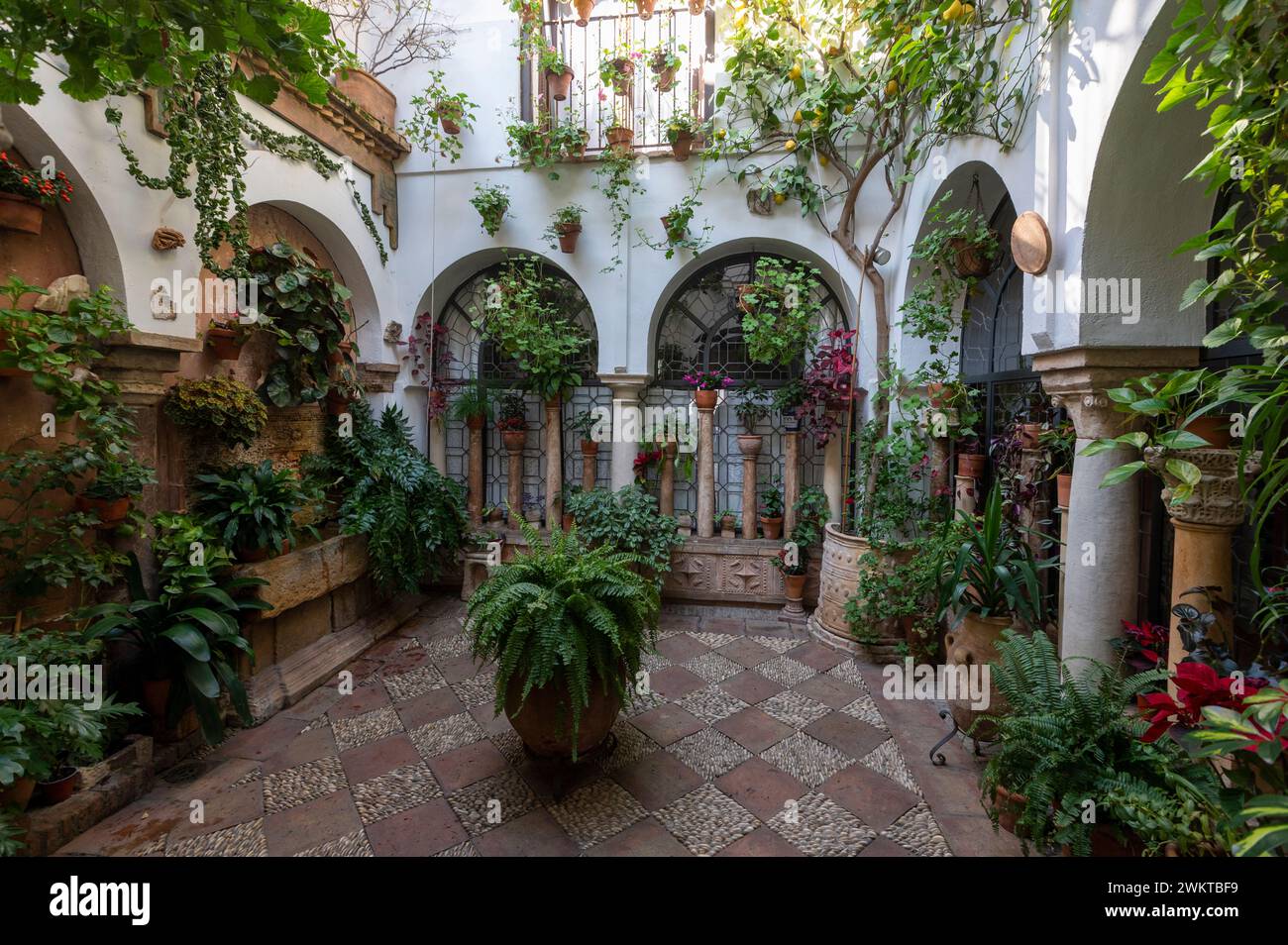 One of the many smaller courtyards called ‘Patios’ with its surrounding walls filled with hanging flowerpots and other plants in Cordoba in Andalusia, Stock Photo