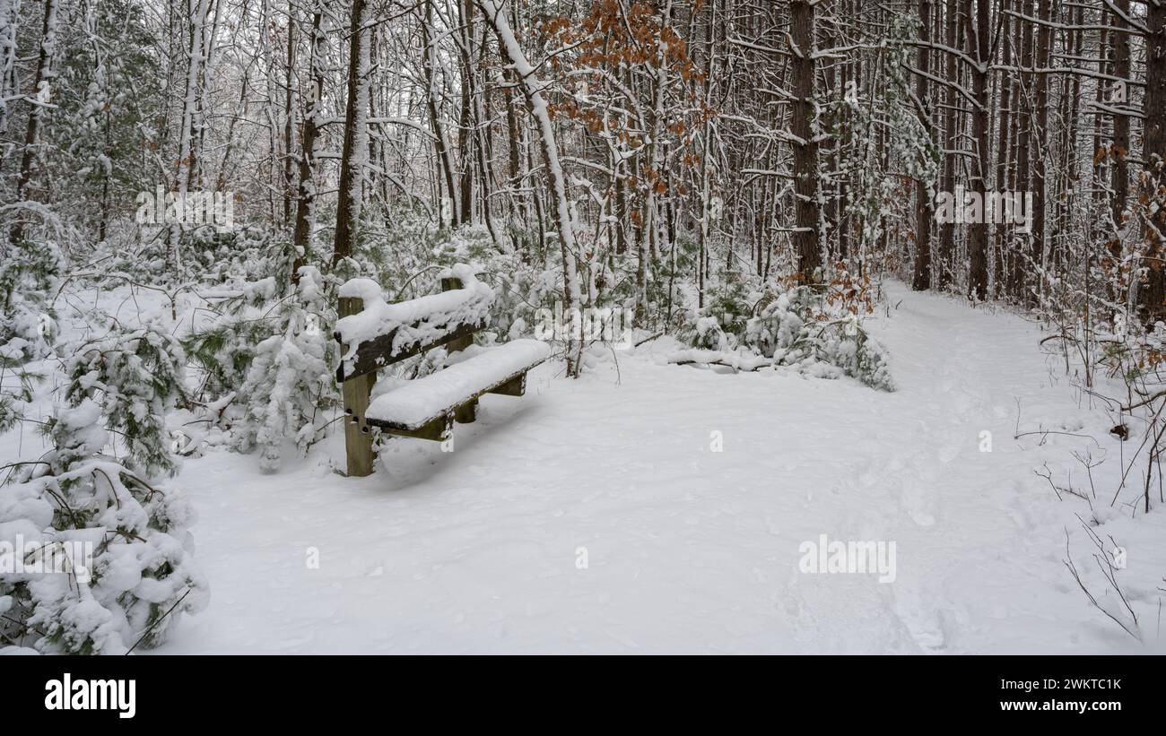 Footsteps in new-fallen snow passing by a bench in Bald Mountain State Recrecation Area, Orion Township, Michigan. Stock Photo