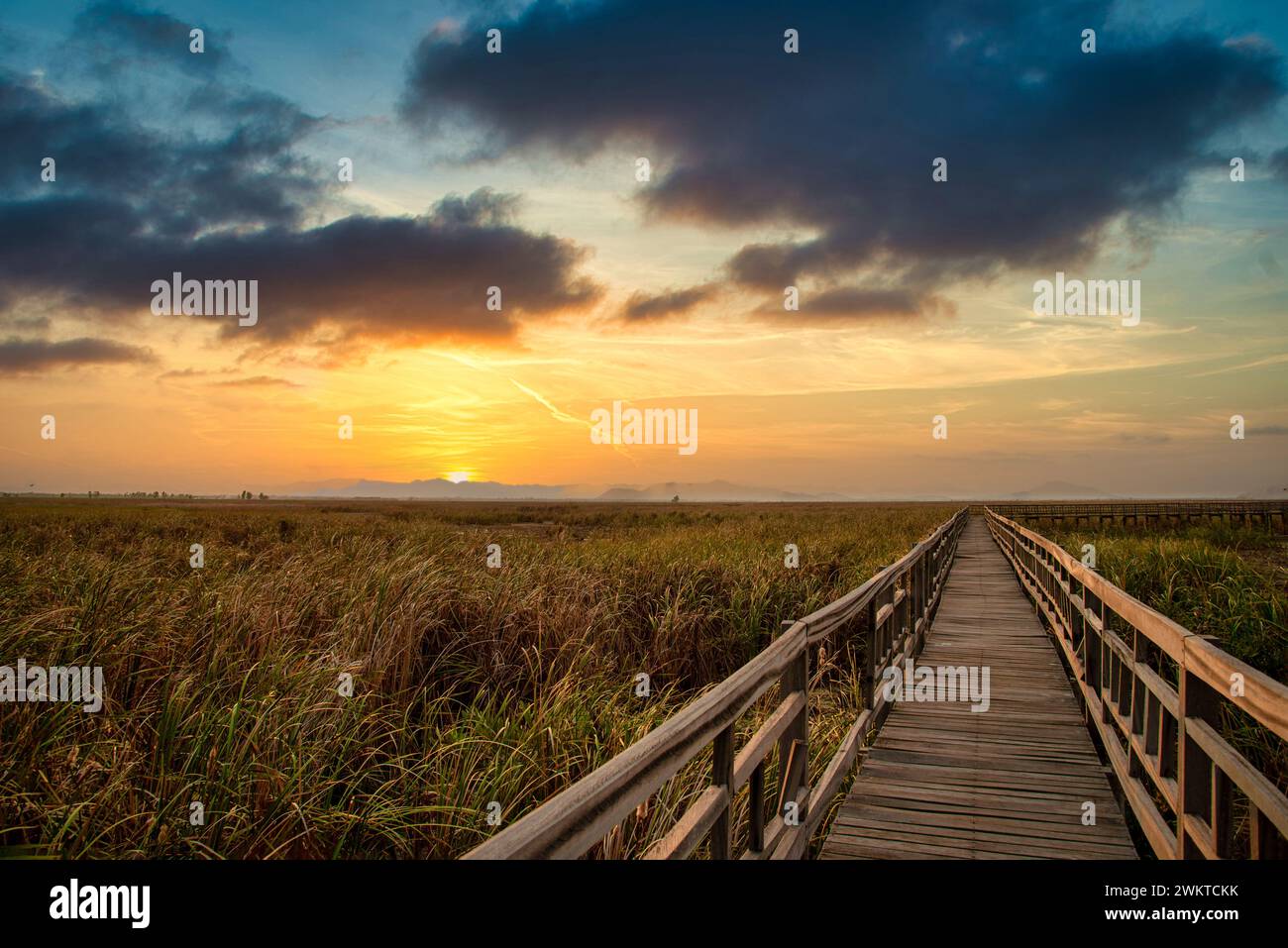 Wooden bridge at sunset in Khao Sam Roi Yod National Park, Prachupkhirikhan Province, Thailand. Selective focus. Stock Photo