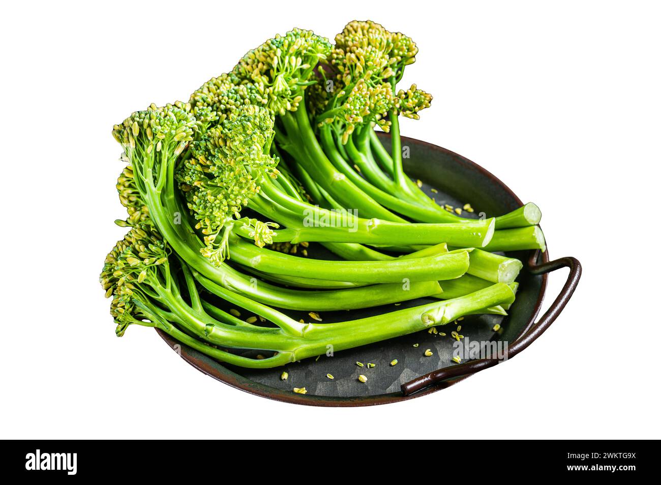 Fresh Raw Organic Broccolini cabbage in a steel tray. Isolated on white ...