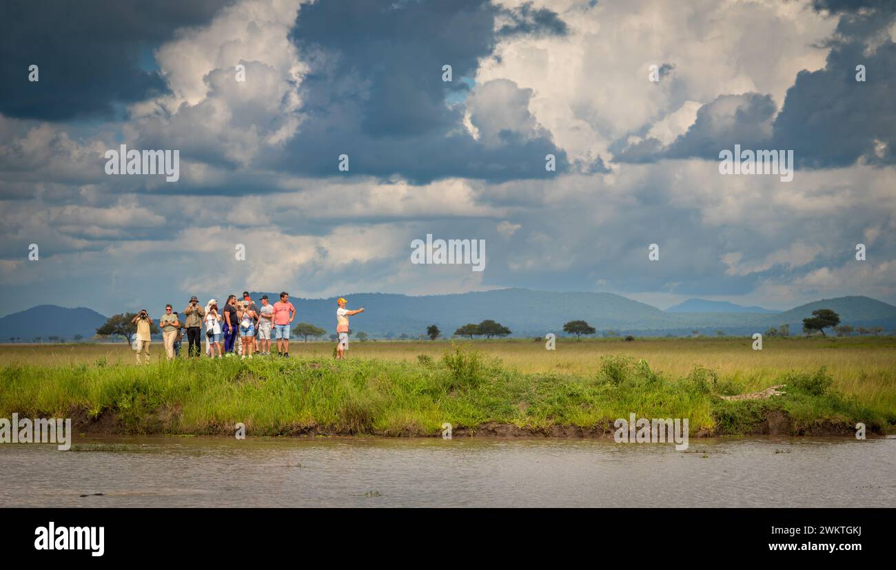 A group of tourists taking photos on smartphones crowd together to get a view of a Nile crocodile in Mikumi National Park in Tanzania. Stock Photo