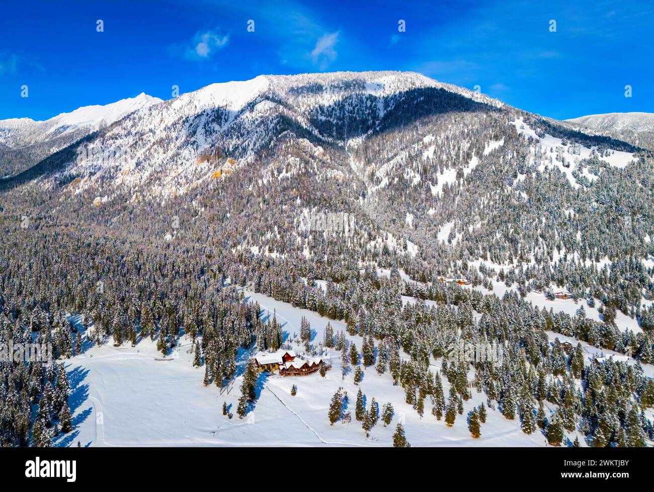 Aerial pine trees river rocks hi-res stock photography and images - Alamy