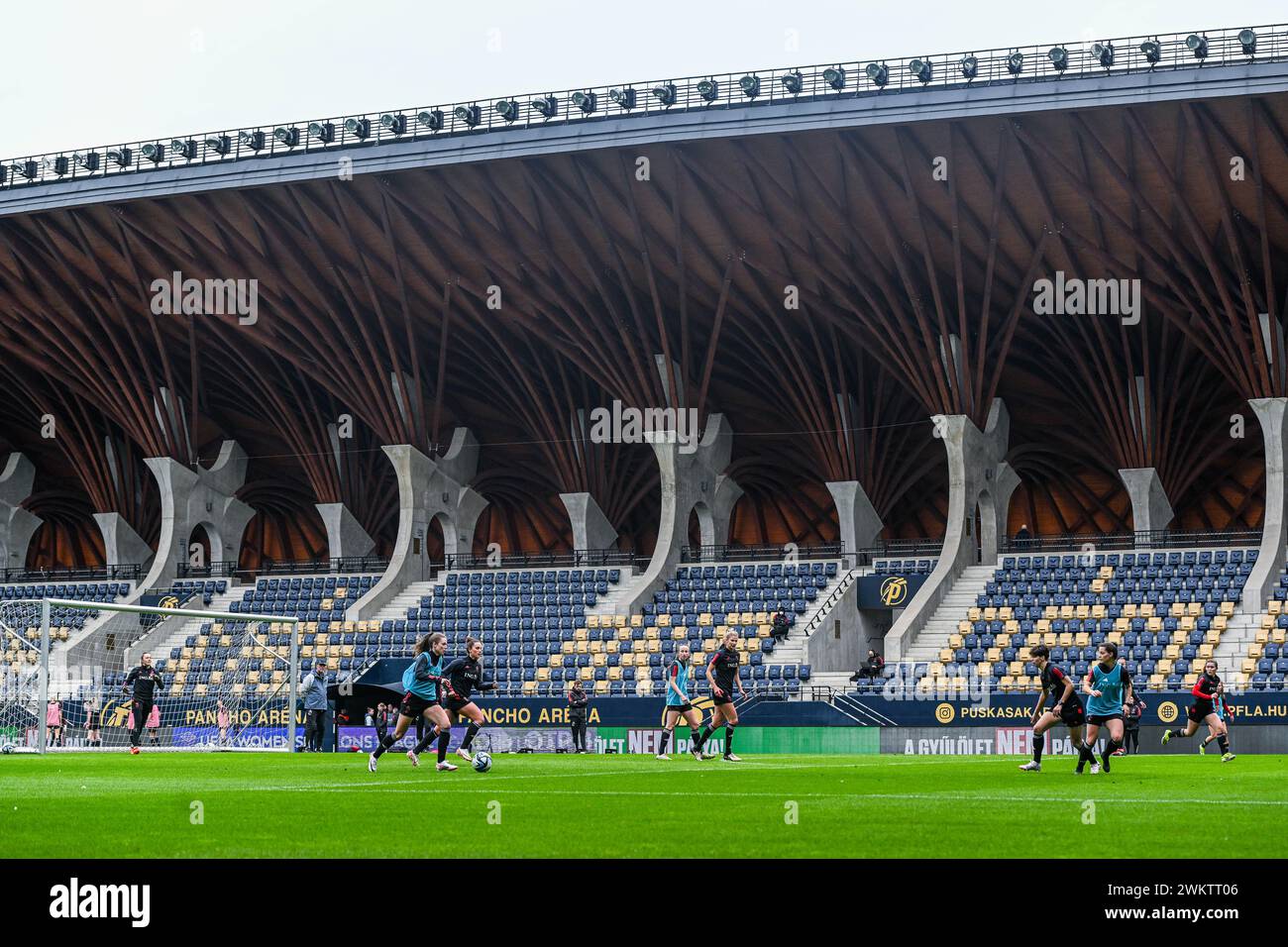 Puskas akademia hi-res stock photography and images - Alamy