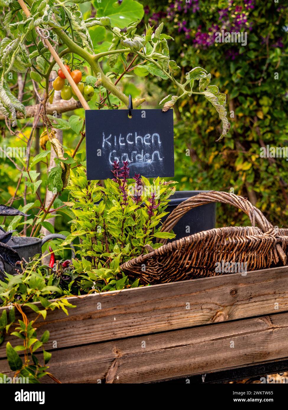 Plant display with a small blackboard with the words kitchen garden. Stock Photo