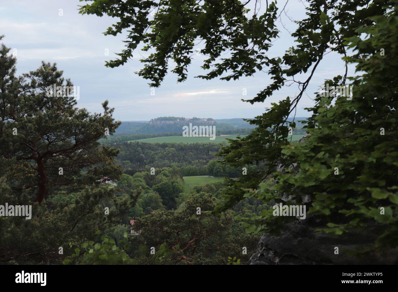 Ein tag im wald hi-res stock photography and images - Alamy