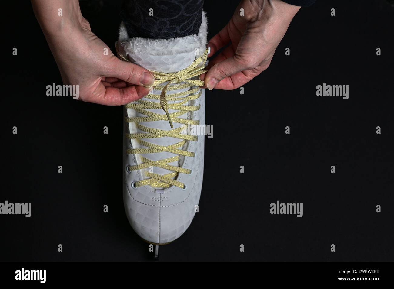 a woman laces her ice skates on a black background. Stock Photo