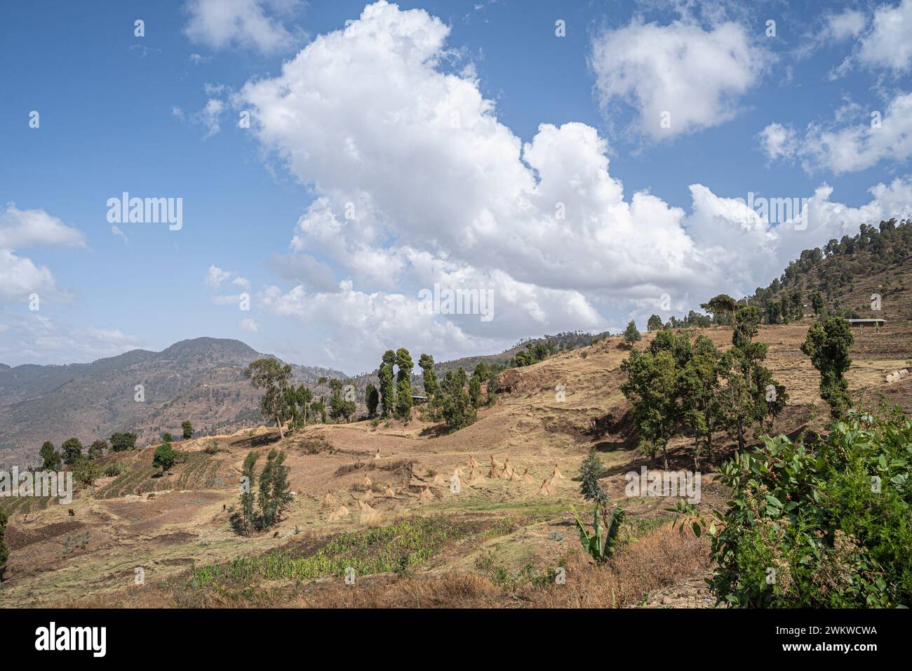 In highlands abyssinia landscape in hi-res stock photography and images ...