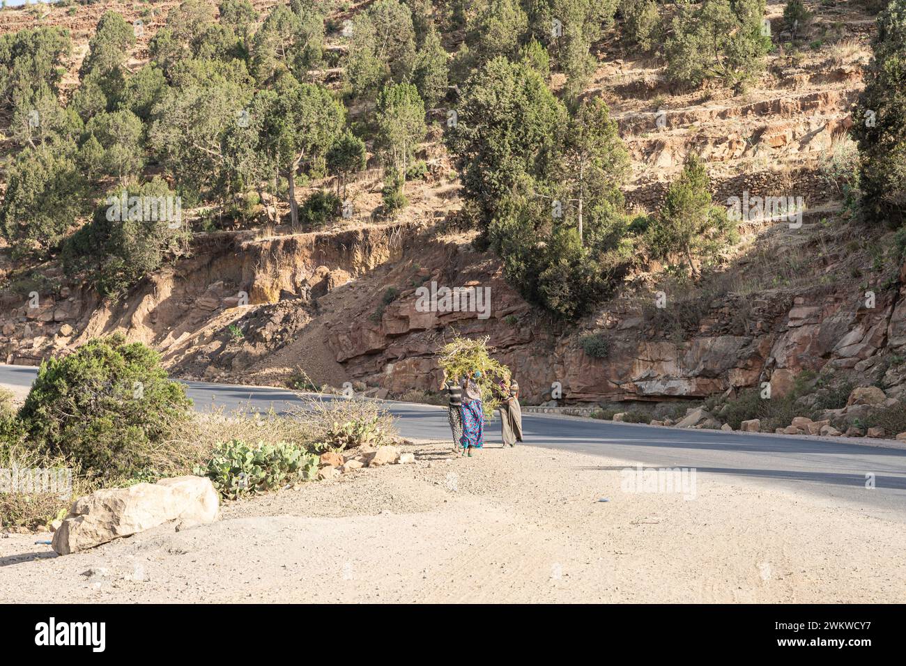 In highlands abyssinia landscape in hi-res stock photography and images ...