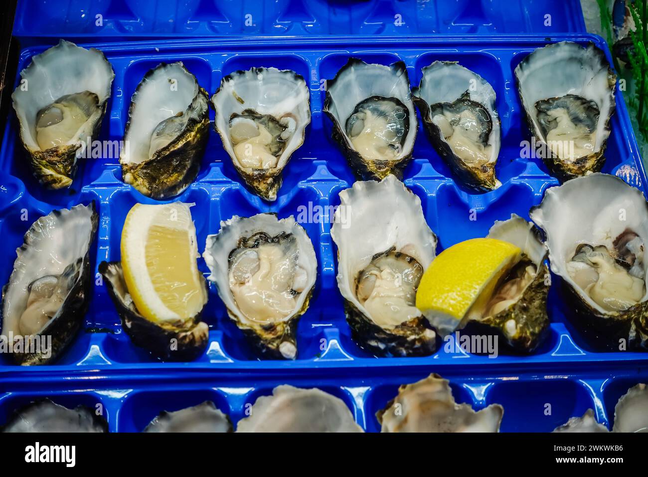 Pacific oysters, a product of Australia. Stock Photo