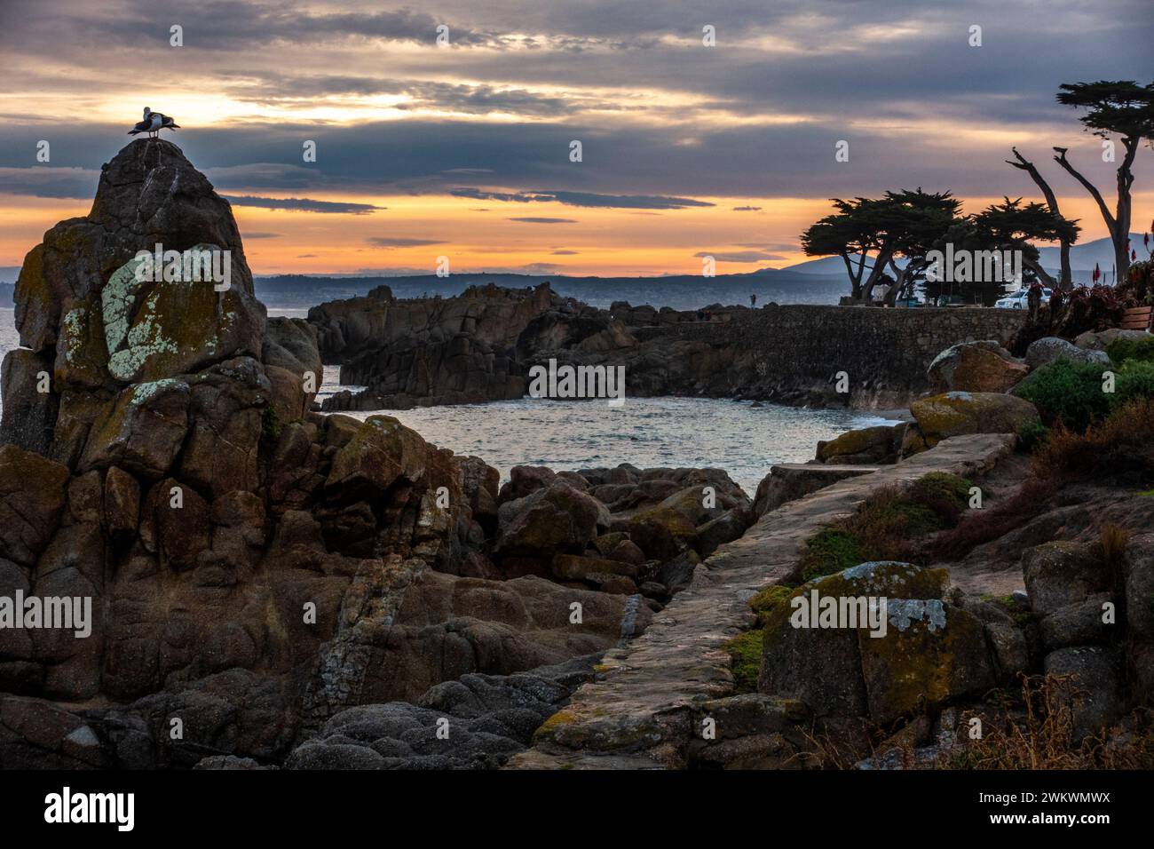 Sea walll and sea gulls at sunrise at Lover's Point in California's Pacific Grove Stock Photo