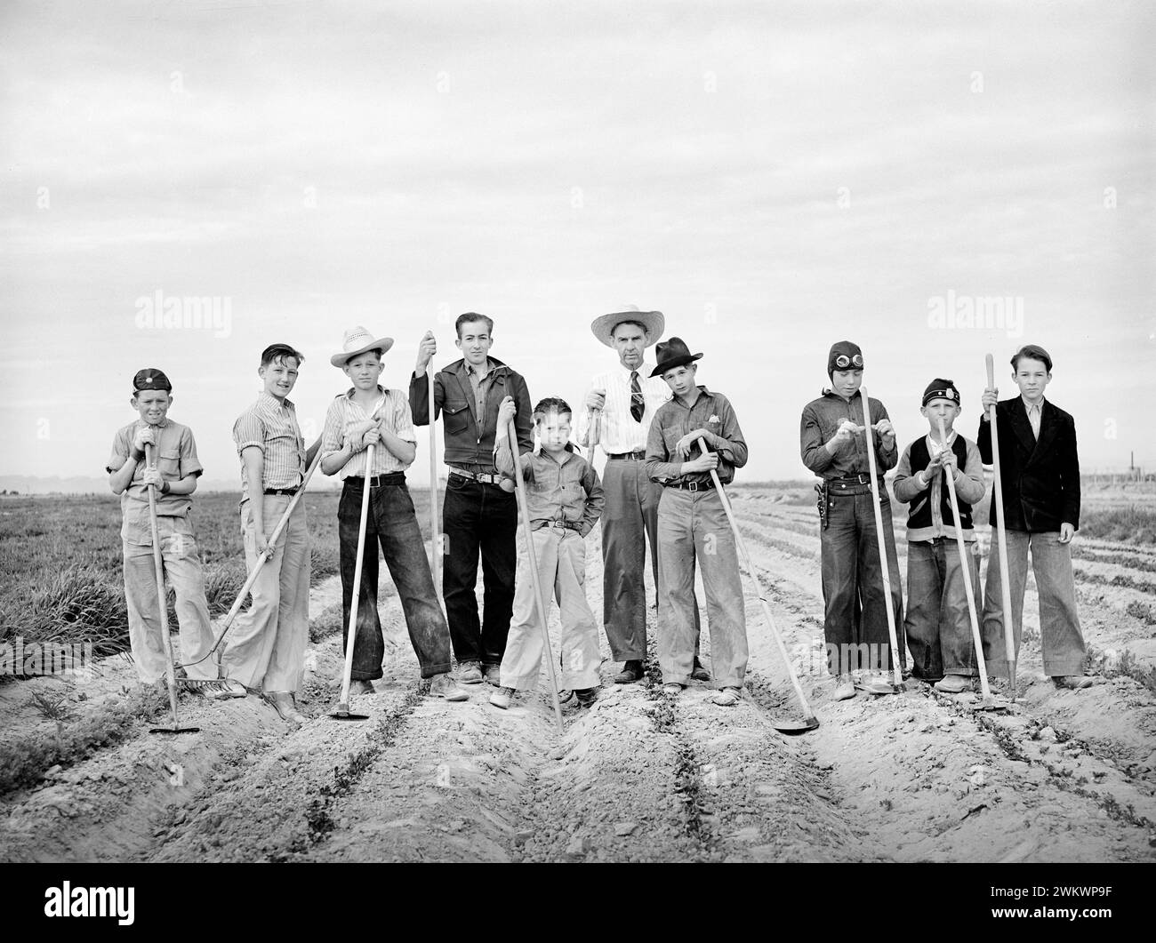 Boys learning to garden in vocational training class provided for in the Smith-Hughes bill, FSA (Farm Security Administration) farm workers' community, Eleven Mile Corner, Arizona, USA, Russell Lee, U.S. Farm Security Administration, February 1942 Stock Photo