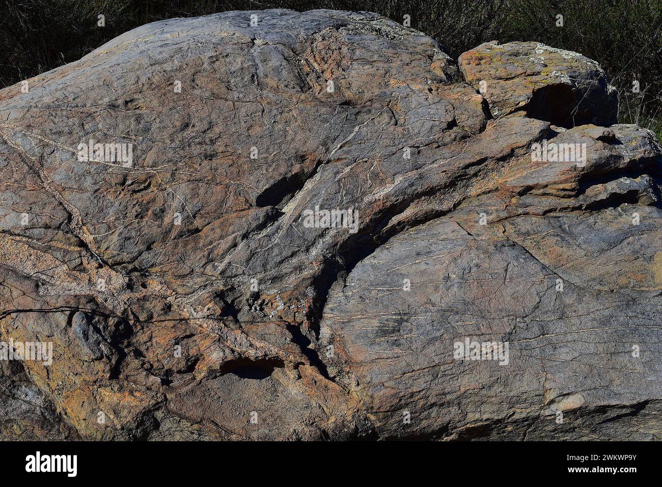 Granite boulder closeups at Highland Valley Trail Stock Photo
