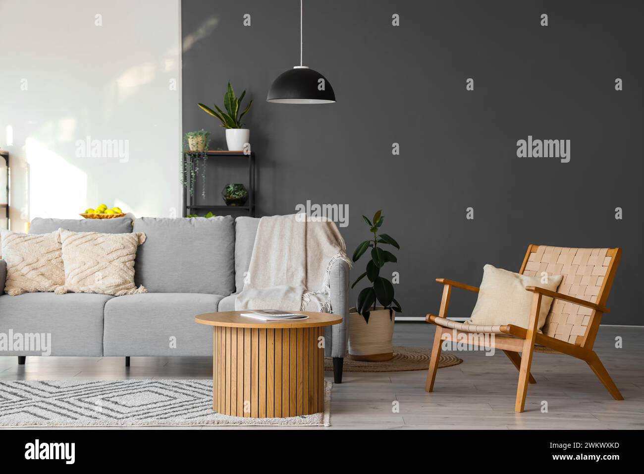 Beautiful interior of modern living room with cozy sofa, armchair ...