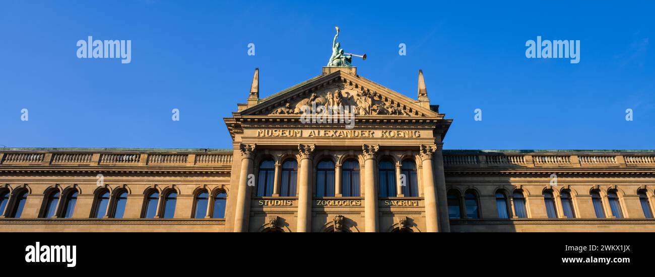 Museum facade, Koenig Museum, Bonn, Germany Stock Photo