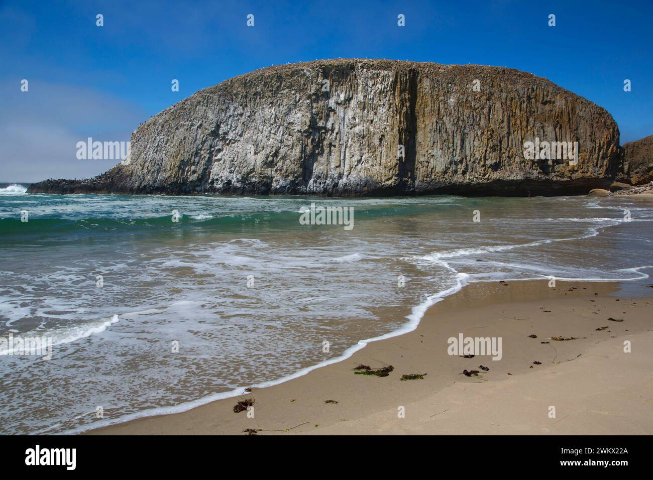 Sial Rocks Seal Rock, Seal Rock State Park, Oregon Stock Photo - Alamy
