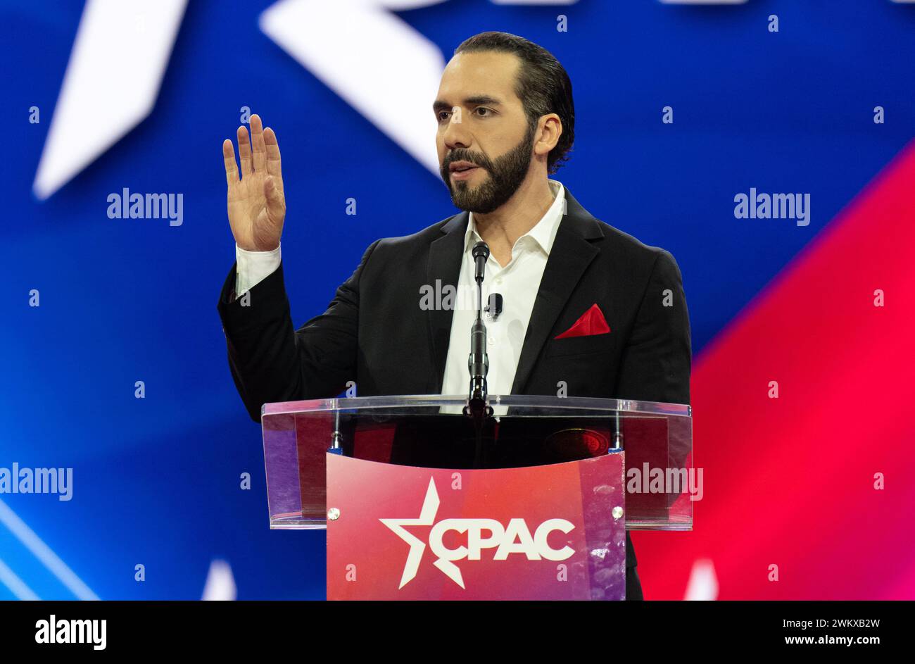 President Nayib Bukele, of El Salvador, makes remarks at the 2024 ...