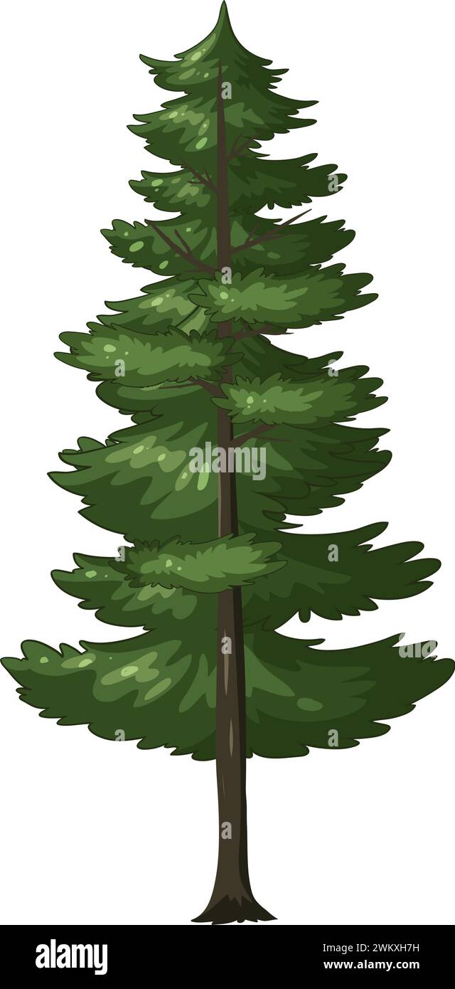Vector graphic of a tall evergreen pine tree Stock Vector Image & Art ...