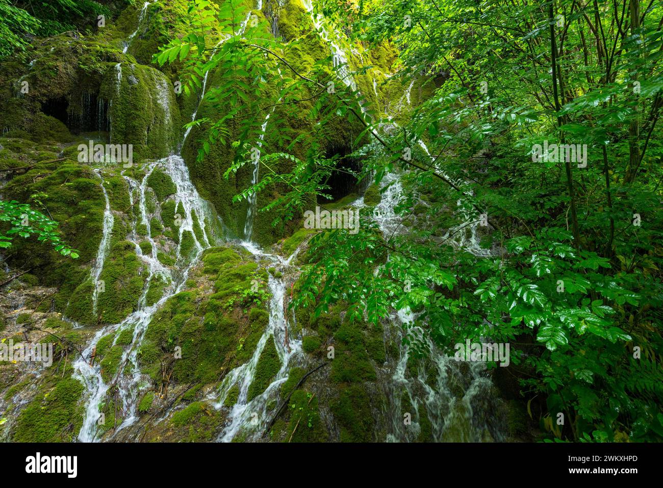 Water flowing down mountain hi-res stock photography and images - Alamy