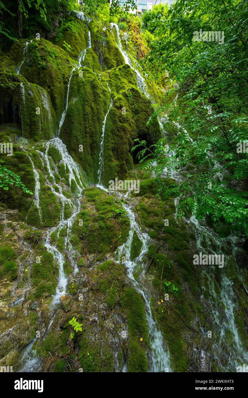 Water flowing in rivulets down a mossy mountain face, nature, natural spectacle, water, flowing, liquid, fresh, clean, environment, green, forest Stock Photo