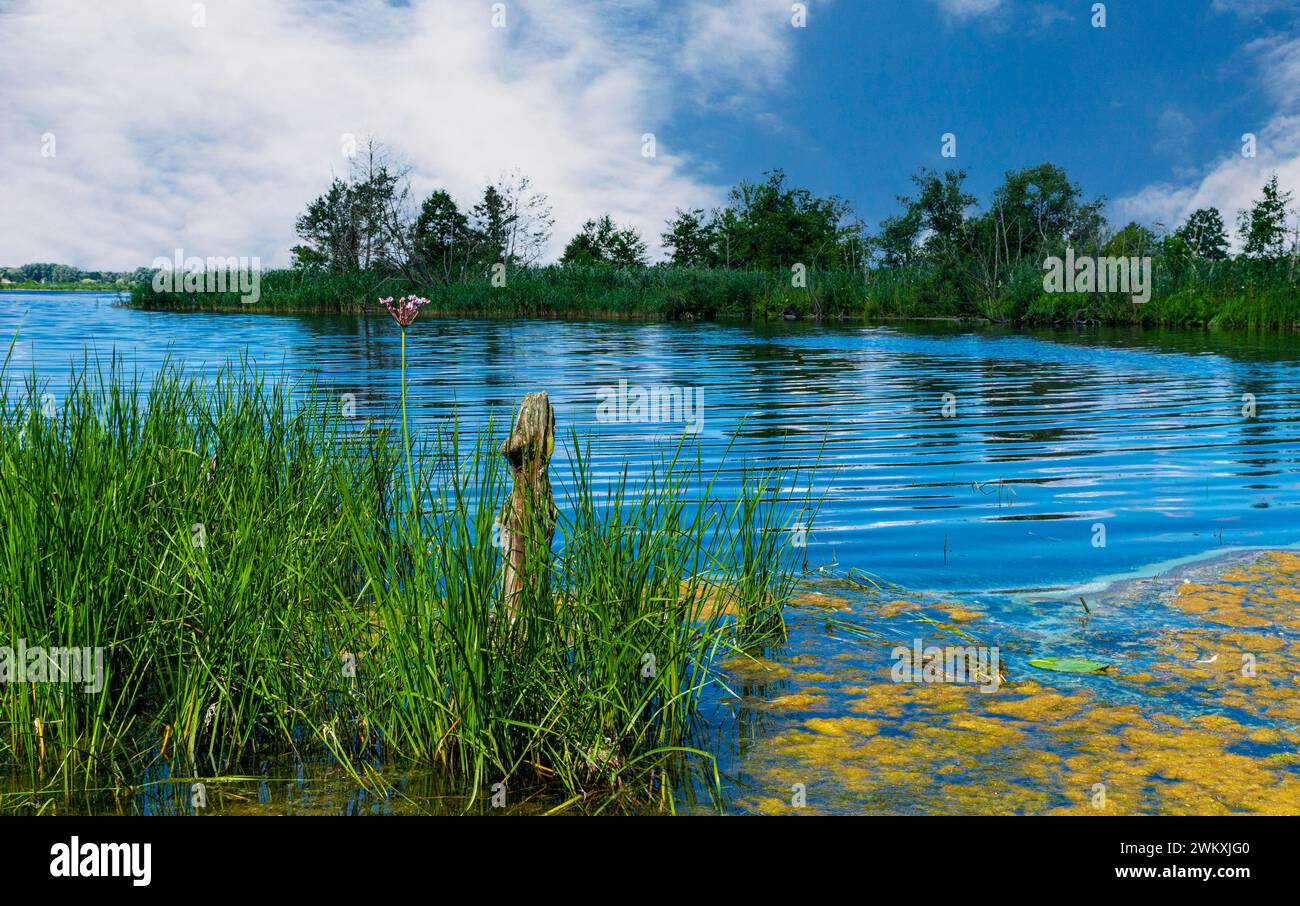 Landscape and nature around Berlin, Germany Stock Photo - Alamy