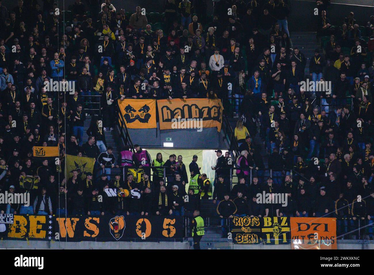 Lisbon, Portugal. 22nd Feb, 2024. Young Boys fans seen during the UEFA Europa League Play-off 2nd leg football match between Sporting CP and BSC Young Boys at Estadio Jose Alvalade. Final Score: Sporting CP 1:1 BSC Young Boys Credit: SOPA Images Limited/Alamy Live News Stock Photo