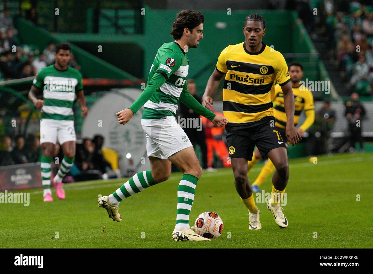 Lisbon, Portugal. 22nd Feb, 2024. Francisco Trincao of Sporting CP (C) and Joel Monteiro of BSC Young Boys (R) in action during the UEFA Europa League Play-off 2nd leg football match between Sporting CP and BSC Young Boys at Estadio Jose Alvalade. Final Score: Sporting CP 1:1 BSC Young Boys Credit: SOPA Images Limited/Alamy Live News Stock Photo