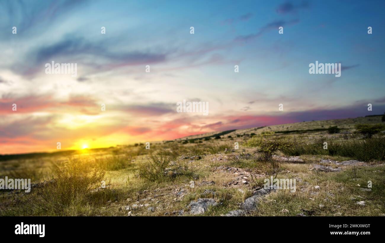 Green grass on the meadow field with a sunset scene background Stock ...