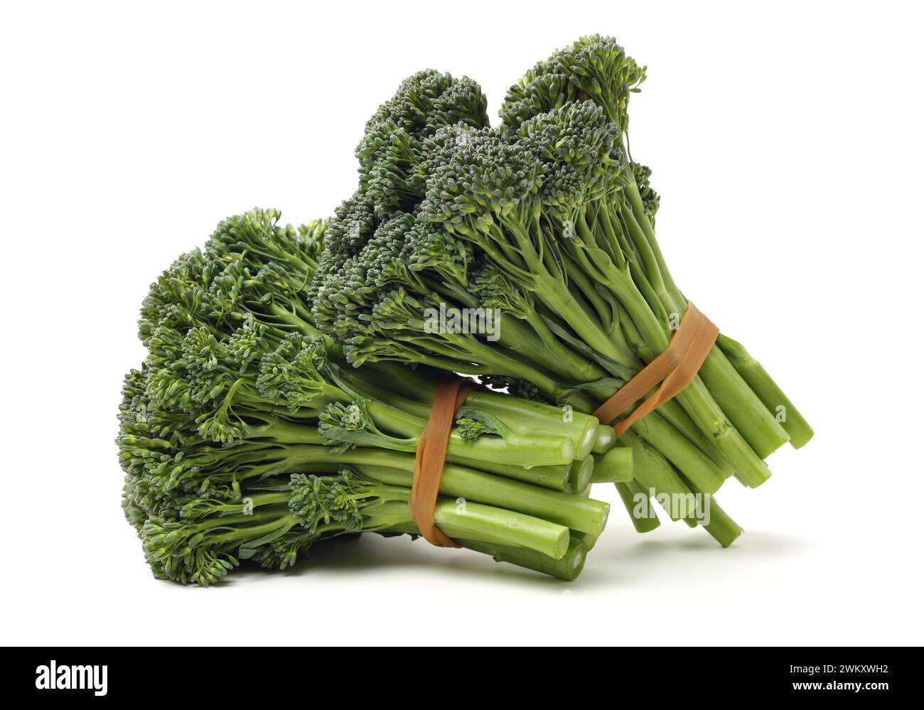broccolini baby broccoli on white background Stock Photo