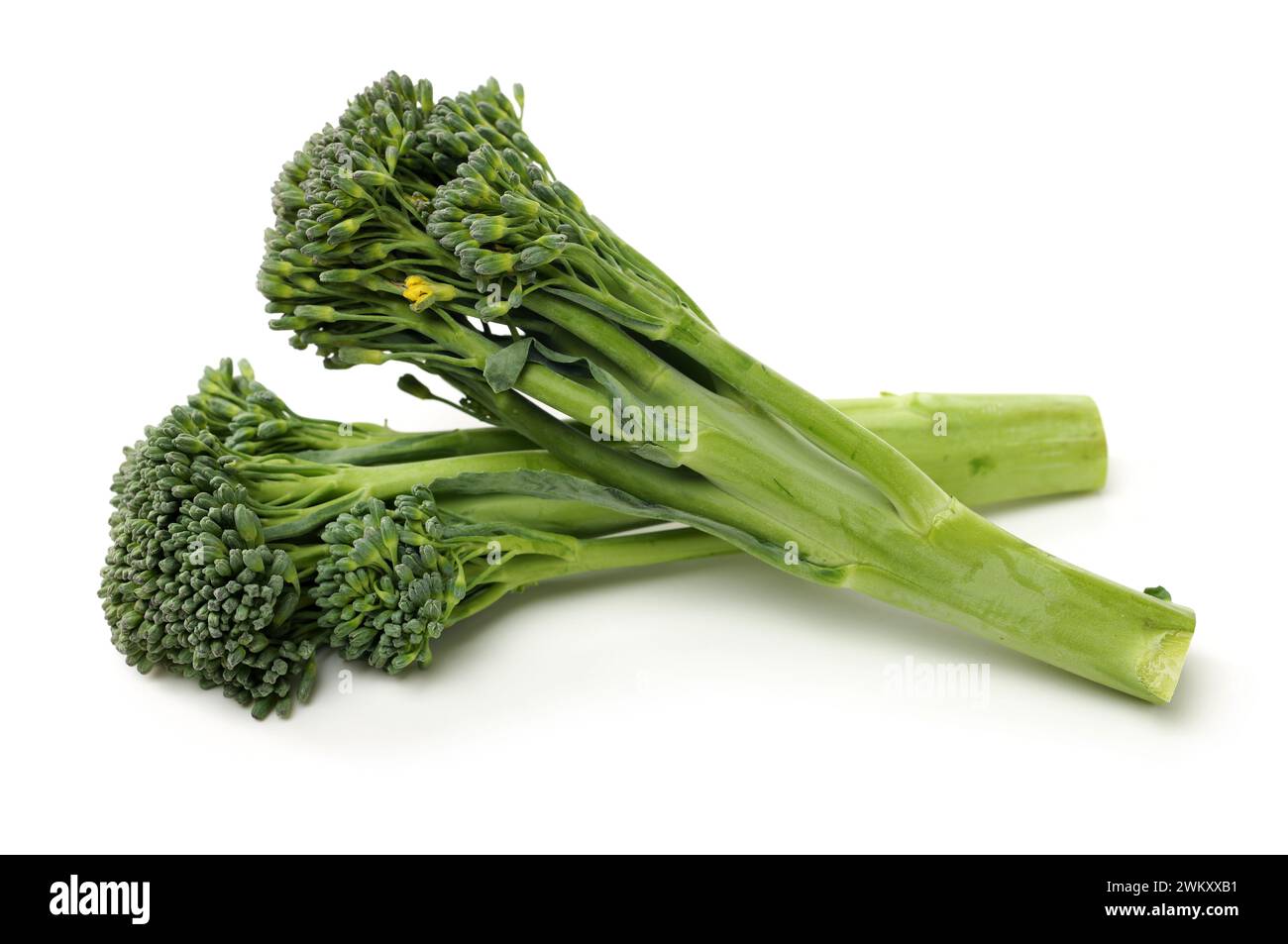broccolini baby broccoli on white background Stock Photo