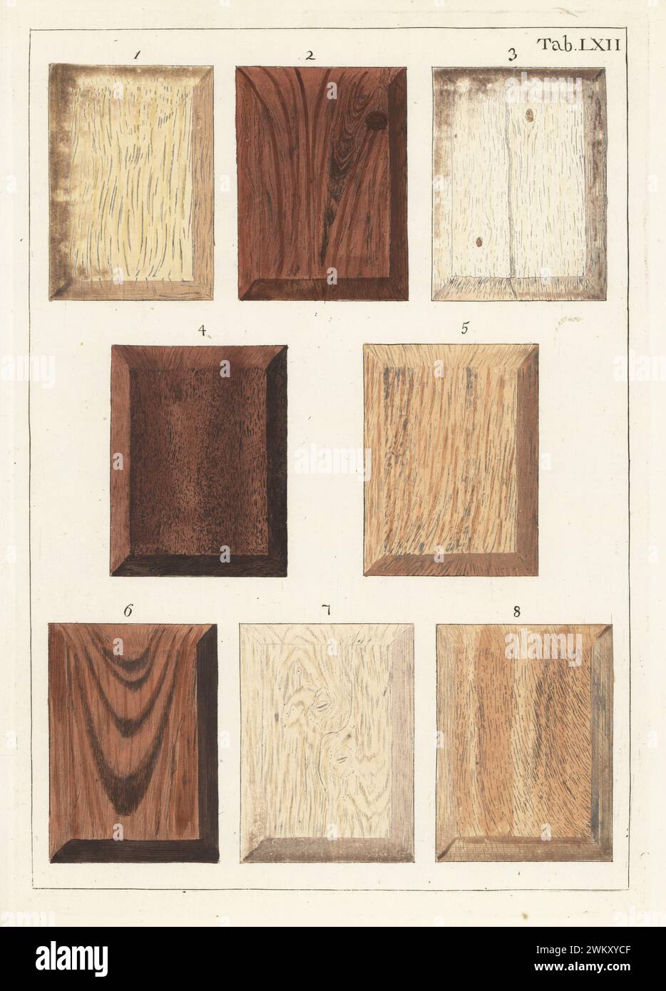 Simaroube wood 1, bimittie or ballaba wood 2, datura wood 3, boerewa wood 4, coemarre marre or marmelade wood 5, itoerie ballaba wood 6, wild fig tree wood 7 and oelo wood 8. Handcoloured copperplate engraving by Jan Christian Sepp from Martinus Houttuyn’s Icones Lignorum exoticorum et nostratium: Wood Science, Representations of Native and Exotic Woods, J.C. Sepp, Amsterdam, Holland, 1773. Stock Photo