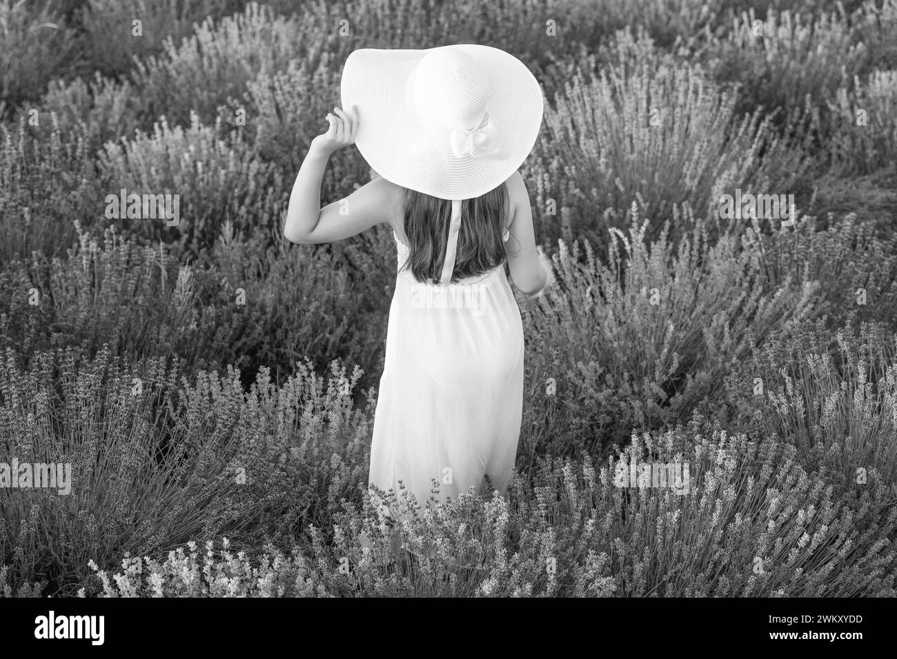 teenage girl at lavender flowers in garden. teen girl in white dress ...